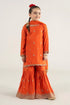 3 Piece Embroidered Suit