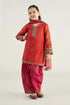 3 Piece Embroidered Suit